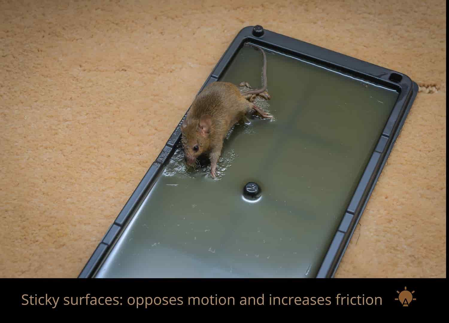 Mouse glue increases static friction