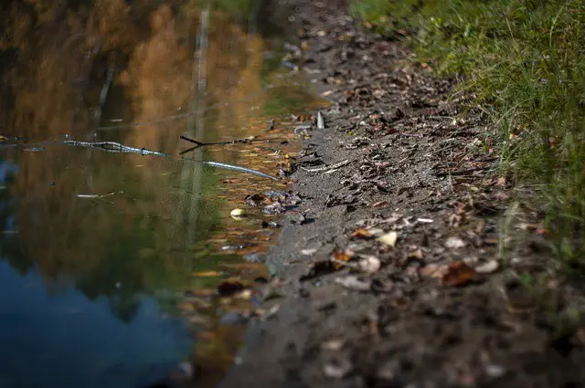 Rivers and creeks are surface water examples