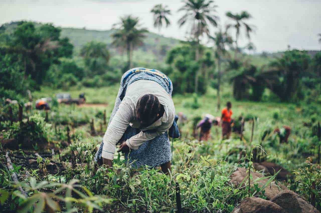 Soil infiltration rate