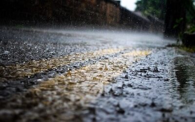 What is Acid Rain? Causes, Effects and Prevention