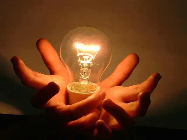 thomas edison light bulb facts