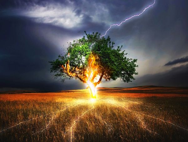 lightning ignites burning tree